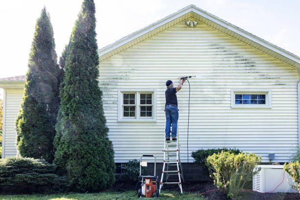 Pre-Holiday Cleaning in Hiawatha, KS